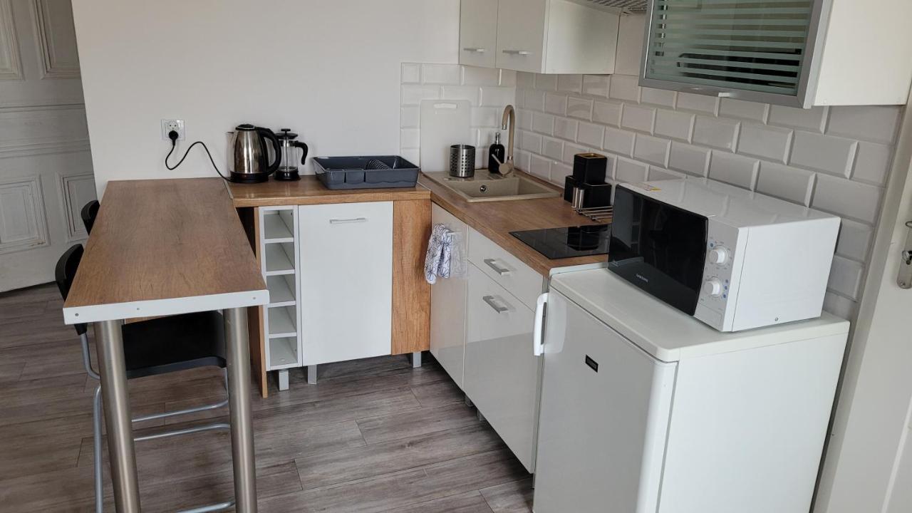 לודז' City Center Zwirki Apartment מראה חיצוני תמונה